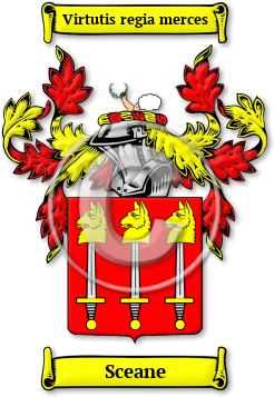 Sceane Family Crest Download (jpg) Legacy Series - 150 DPI