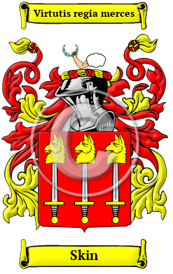 Skin Family Crest Download (JPG) Heritage Series - 600 DPI