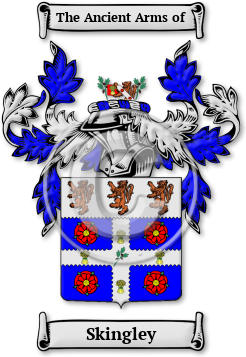 Skingley Family Crest Download (jpg) Legacy Series - 150 DPI
