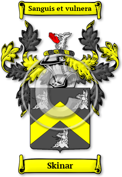 Skinar Family Crest Download (jpg) Legacy Series - 150 DPI