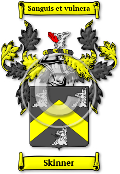 Skinner Family Crest Download (jpg) Legacy Series - 150 DPI