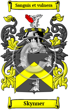 Skynner Family Crest/Coat of Arms