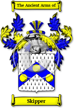 Skipper Family Crest Download (JPG) Legacy Series - 600 DPI