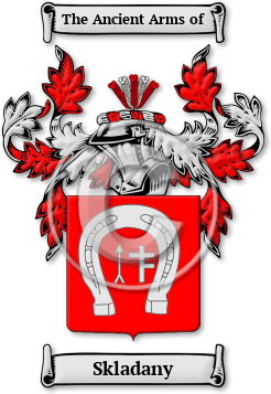 Skladany Family Crest Download (JPG) Legacy Series - 600 DPI