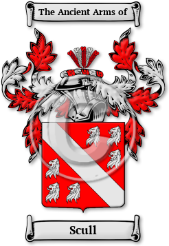 Scull Family Crest Download (jpg) Legacy Series - 150 DPI
