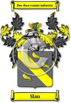 Slan Family Crest Download (jpg) Legacy Series - 150 DPI