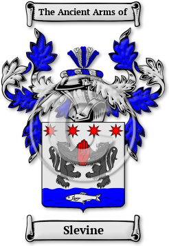 Slevine Family Crest Download (jpg) Legacy Series - 150 DPI