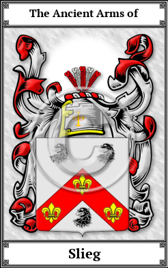 Slieg Family Crest Download (JPG)  Book Plated - 150 DPI
