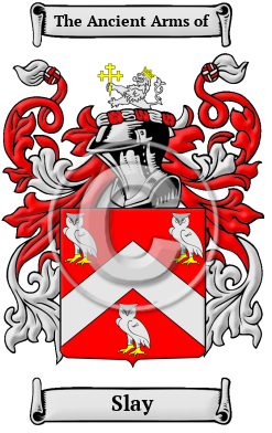 Brandon Coat of Arms, Family Crest - Free Image to View - Brandon