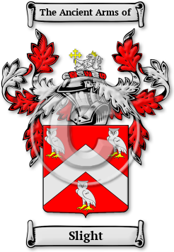 Slight Family Crest Download (JPG) Legacy Series - 600 DPI