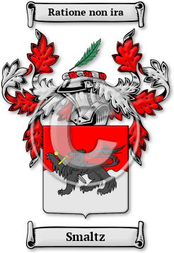Smaltz Family Crest Download (jpg) Legacy Series - 150 DPI