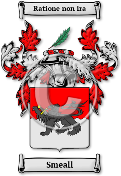 Smeall Family Crest Download (JPG) Legacy Series - 600 DPI