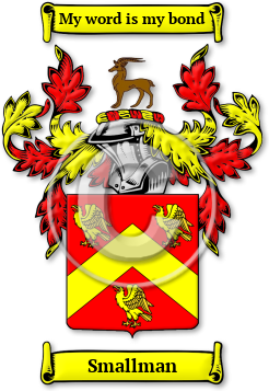 Smallman Family Crest Download (jpg) Legacy Series - 150 DPI