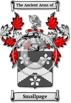 Smallpage Family Crest Download (jpg) Legacy Series - 150 DPI