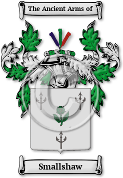 Smallshaw Family Crest Download (jpg) Legacy Series - 150 DPI