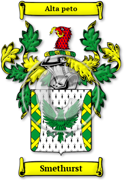 Smethurst Family Crest Download (jpg) Legacy Series - 150 DPI