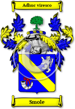 Smole Family Crest Download (JPG) Legacy Series - 300 DPI