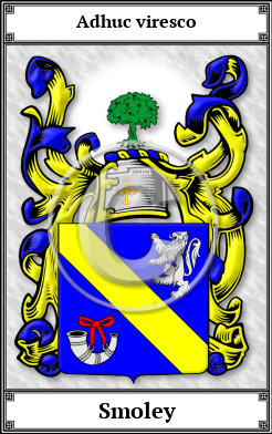 Smoley Family Crest Download (JPG)  Book Plated - 150 DPI