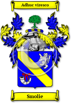 Smolie Family Crest Download (jpg) Legacy Series - 150 DPI