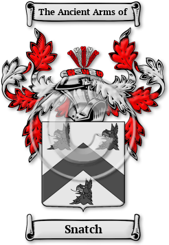 Snatch Family Crest Download (jpg) Legacy Series - 150 DPI