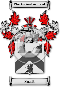 Snatt Family Crest Download (JPG) Legacy Series - 600 DPI
