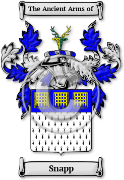 Snapp Family Crest Download (jpg) Legacy Series - 150 DPI