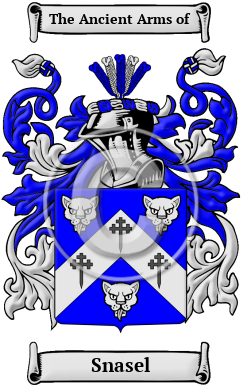Snasel Family Crest/Coat of Arms