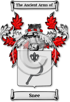 Snee Family Crest Download (JPG) Legacy Series - 600 DPI