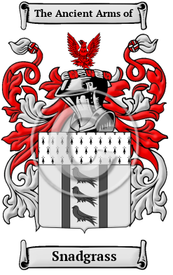 Snadgrass Family Crest Download (JPG) Heritage Series - 600 DPI
