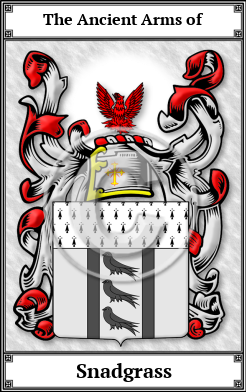 Snadgrass Family Crest Download (JPG) Book Plated - 600 DPI