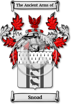 Snoad Family Crest Download (jpg) Legacy Series - 150 DPI