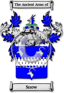Snow Family Crest Download (JPG) Legacy Series - 600 DPI
