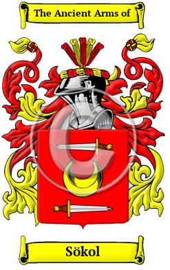 Sökol Family Crest/Coat of Arms