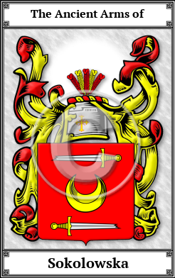 Sokolowska Family Crest Download (JPG)  Book Plated - 150 DPI