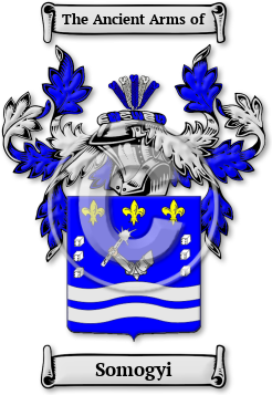 Somogyi Family Crest Download (jpg) Legacy Series - 150 DPI
