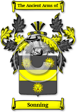 Sonning Family Crest Download (jpg) Legacy Series - 150 DPI