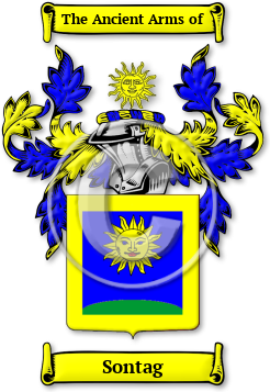 Sontag Family Crest Download (JPG) Legacy Series - 300 DPI