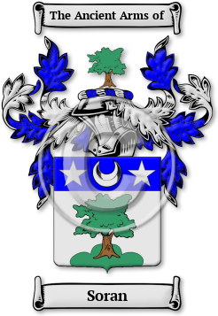 Soran Family Crest Download (jpg) Legacy Series - 150 DPI