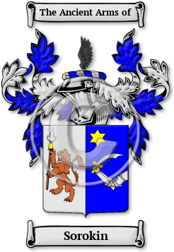 Sorokin Family Crest Download (jpg) Legacy Series - 150 DPI