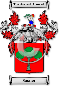 Sosner Family Crest Download (jpg) Legacy Series - 150 DPI