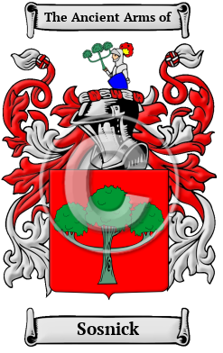 Sosnick Family Crest Download (JPG) Heritage Series - 300 DPI