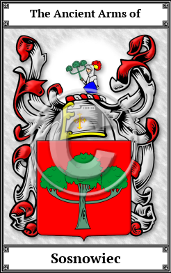 Sosnowiec Family Crest Download (JPG)  Book Plated - 150 DPI