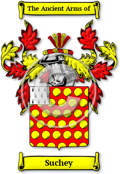 Suchey Family Crest Download (jpg) Legacy Series - 150 DPI