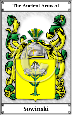 Sowinski Family Crest Download (JPG)  Book Plated - 150 DPI