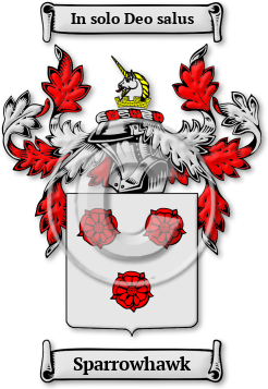 Sparrowhawk Family Crest Download (jpg) Legacy Series - 150 DPI