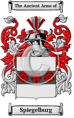 Spiegelburg Family Crest/Coat of Arms