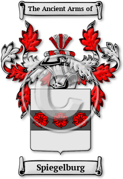 Spiegelburg Family Crest Download (jpg) Legacy Series - 150 DPI