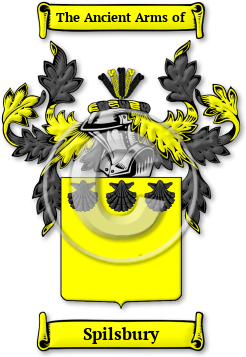 Spilsbury Family Crest Download (jpg) Legacy Series - 150 DPI