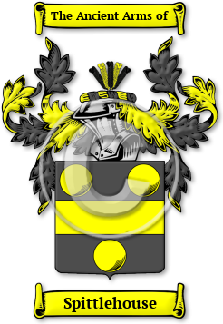 Spittlehouse Family Crest Download (jpg) Legacy Series - 150 DPI