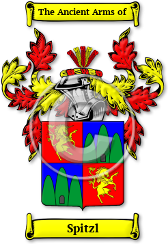 Spitzl Family Crest Download (jpg) Legacy Series - 150 DPI